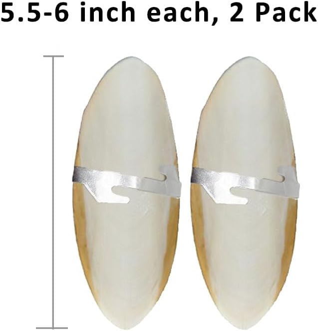 Natural Cuttlebone for Birds Parakeets Canaries Cockatiels Small Conures Mynahs Toucans African Greys All Parrots Snails Totoise, with Holder for Bird Cage (5.5-6 inch,2PCS)