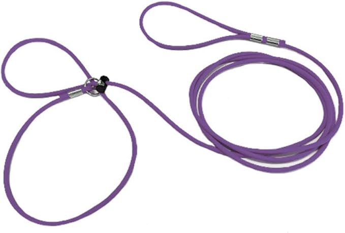 Piggy Poo and Crew 12-Foot Mini Pig Harness - Adjustable Harness & Leash for All Animals - Pigs, Ferrets, Rabbits, Guinea Pigs, Dogs, Cats, Reptile, and Chickens