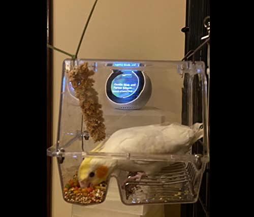 No-Mess Bird Feeder NO Assembly with Rough-surfaced Stainless Steel Perch (5.9x6.3x6.3(HxLxW))