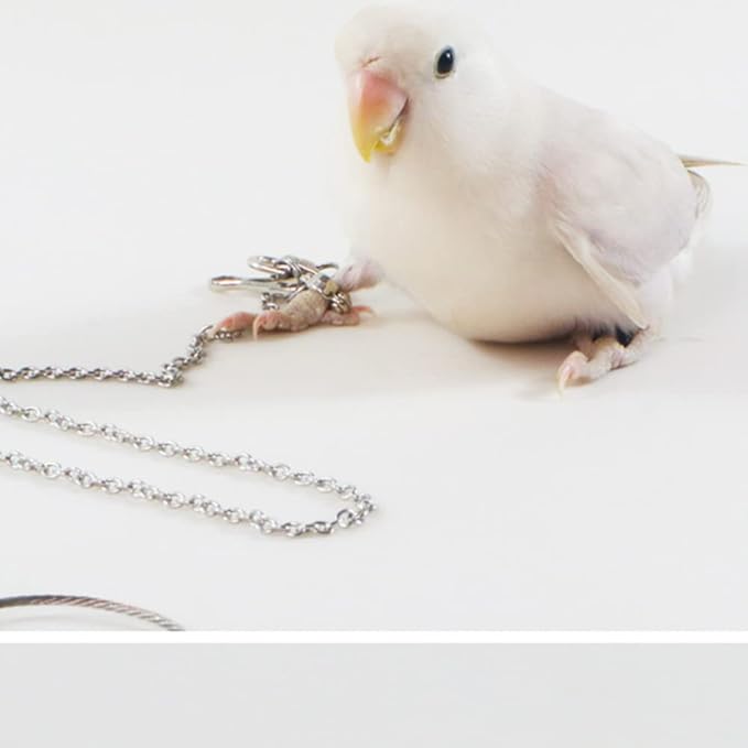 Bird Foot Chain Flying Stainless Steel Training Rope Outdoor Parrot Ankle Foot Ring Accessories Bird Harness Leash Prevent Escaping (7#)
