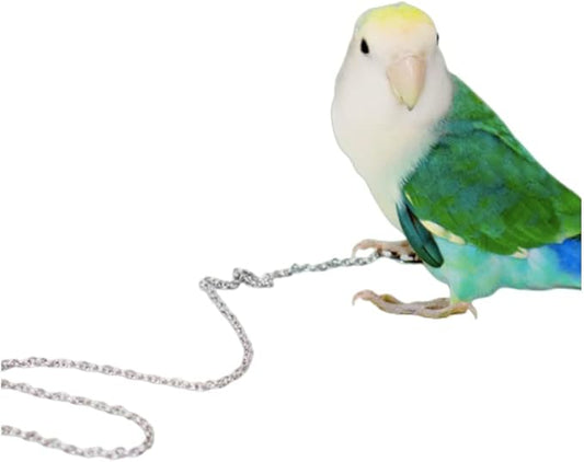 Bird Foot Chain Flying Stainless Steel Training Rope Outdoor Parrot Ankle Foot Ring Accessories Bird Harness Leash Prevent Escaping (8#)