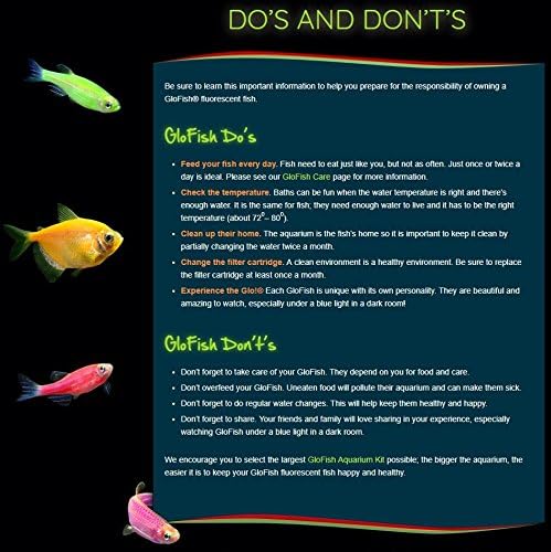 GloFish Blue LED Bubbler, Aquarium Lights with Air Stone for Fish Tanks 2.6-Inch x 4-Inch x 0.5-Inch (Pack of 2)