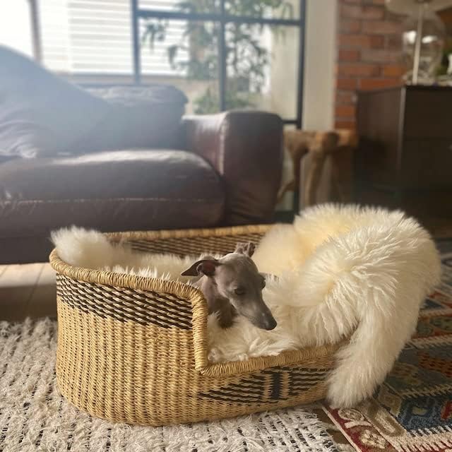 Woven Dog Bed Basket–Gifts for Dogs–Small to XXL Dog Bed–Large Bed for Large Dogs–Elegance and Decorative Bed for Your Dog–Comfortable Dog Bed–Small Dog Bed (Bobo, XXL)