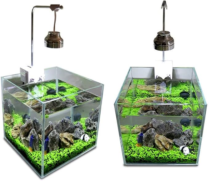 2 Pack Aquarium Plants for Fish Tank Easy Growing Real Carpet Decor for Fish Tank