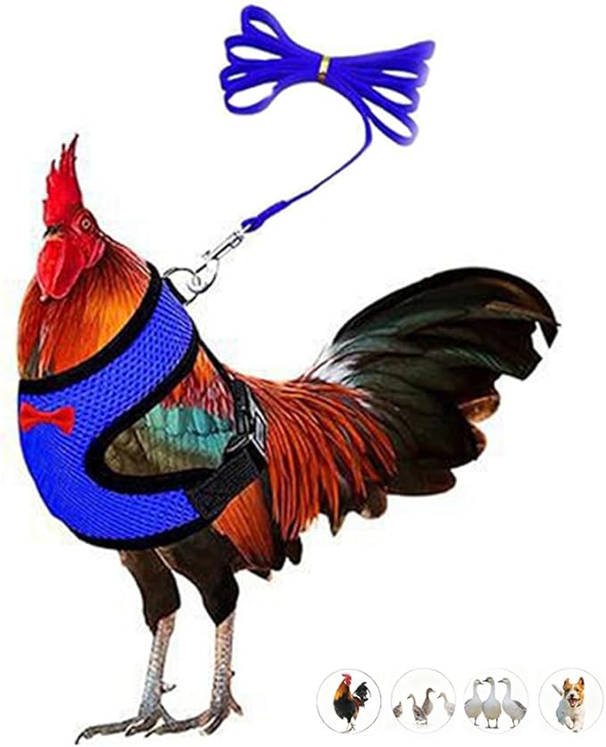 Chicken Harness and Leash Set Adjustable Mesh Breathable Duck Training Harness Pets Leashs for Goose Hen Rooster Parrots Dog Kitten, Blue S