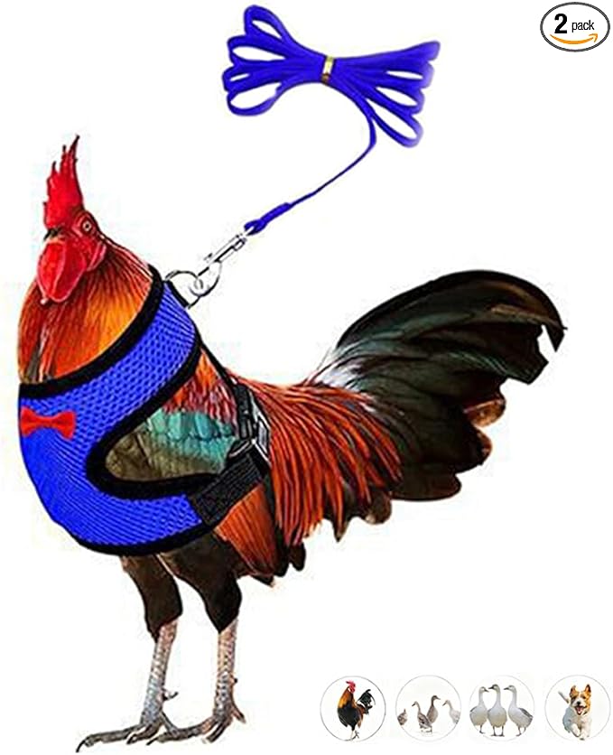 Chicken Harness and Leash Set Adjustable Mesh Breathable Duck Training Harness Pets Leashs for Goose Hen Rooster Parrots Dog Kitten, Blue M