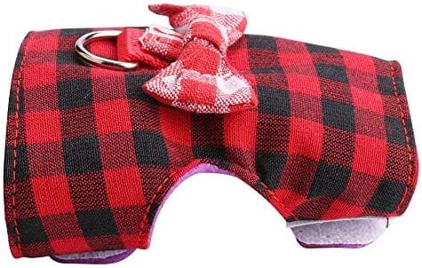 2 Pieces Guinea Pig Clothes Baby Ferret Rats Hamster Soft Mesh Harness Leash Vest Set with Bell for Guinea Pigs, Hamster, Ferret, Rabbit, Chinchilla and Similar Small Animals