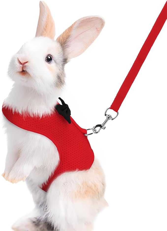 Red Rabbit Harness and Leash Set, with Cute Bow Soft Breathable Mesh Bunny Vest Harness for Rabbits Kitten Ferret Puppy Small Pets Walking, M