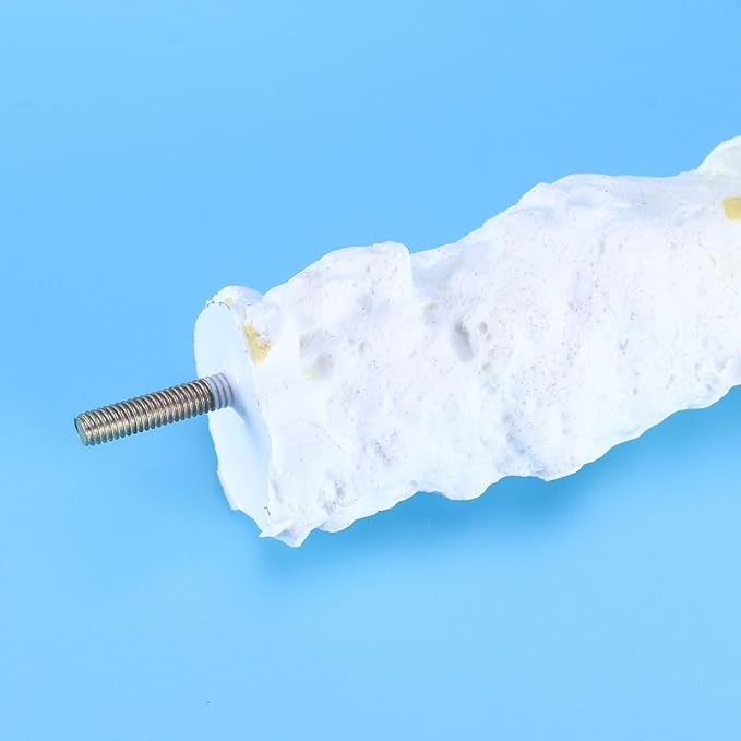 GALPADA High Calcium Cuttlebone Bird Perch for Parrots Natural Fruit Flavor 8-inch Standing Pole for PET Birds Essential Parrot Supplies and Accessories