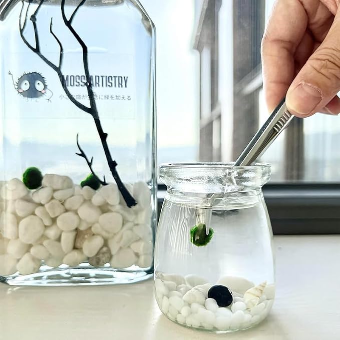 Moss Pet Glass Terrarium Jar Kit with Cork Lid, Mini Desktop Moss Plant Aquarium Decor, Home Ornament Gift