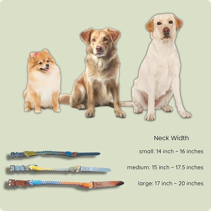 Pawtopia Cotton Braided Rope Collar for Medium Dogs, Vegan Leather Handle (Light Blue) with One Complimentary Roll of Dog Poop Bags (15 Bags), Durable Metal Buckle (Soft Rainbow Color, Medium)