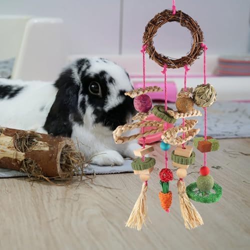 YIXUND Rabbit & Guinea Pig Toys - Hamster & Bunny Toys - Natural Timothy Hay & Apple Wood Sticks - Chinchilla Teeth Care - Handmade Dream Catcher