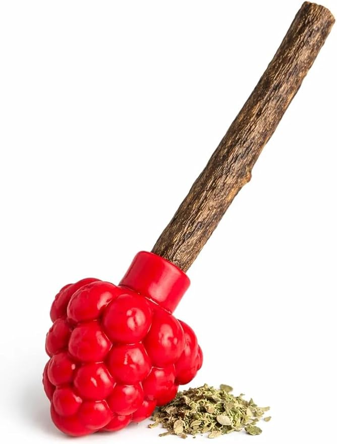 Cat Dental Teether Toy with Silvervine Chew Stick - Rubber Berry Holder with Catnip Oil Infused Matatabi Stick for Teeth Cleaning - Kitten Teething Toy for Indoor Cats (1 Teether + 1 Stick)