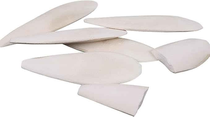 6 Pcs Natural Cuttlebone Parakeets Pure Cuttlebone Calcium Stone for Tortoise Parakeets Canaries Cockatiels Turtles Cockatiel 9.5-10.4cm/3.7-4 inch