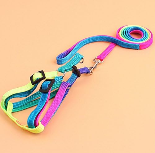 Hypeety Pet Bird Harness and Leash with Buckle Adorable Rainbow Design Safe Parrot Leash Pet Harness Outdoor Adjustable Anti Bite Training Rope for Macaw Large Size Bird (1cm × 47.24in)
