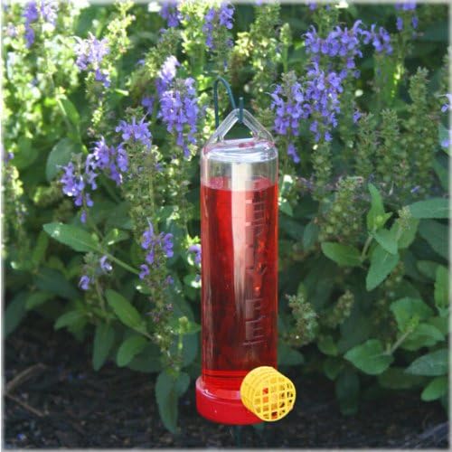 Perky-Pet 215P Planter Box 3-Ounce Plastic Hummingbird Feeder with Hanging Rod (Pack of 2)