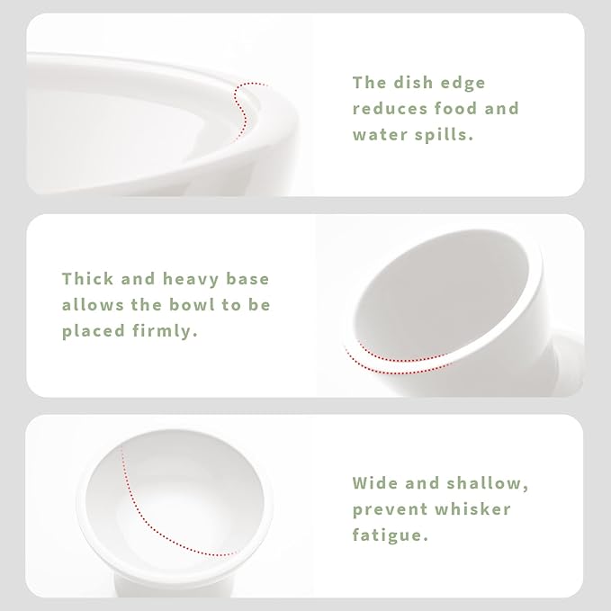 CEEFU Extra Wide Elevated Ceramic Cat Bowl, 6.2" Shallow Dish for Whisker Fatigue Relief, 5" Height for Easy Feeding, Durable Raised Cat Food Bowls, Pack of 2, White