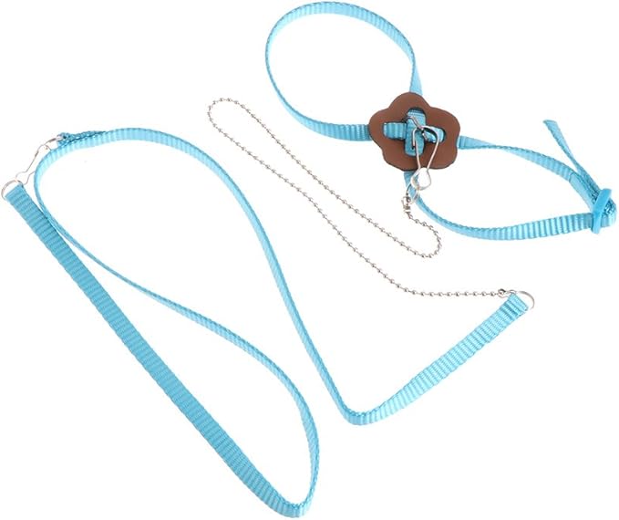 Adjustable Bird Harness Leash Parrot Flying Rope Straps Outdoor Training Traction Rope For Small Parrots Multi Colors Parrot Toys African Grey For Small Parrots For Large Birds Conure Macaw Parrot Set