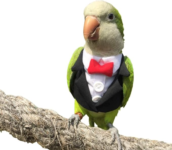 Bird Clothes Birds Flight Suit,Tuxedo Business Suit for Parrots African Greys Parakeet Cockatiel Sun Conure Christmas Party Birthday Cosplay Photo Prop Small Animals Apparel (XL,Black Suit)