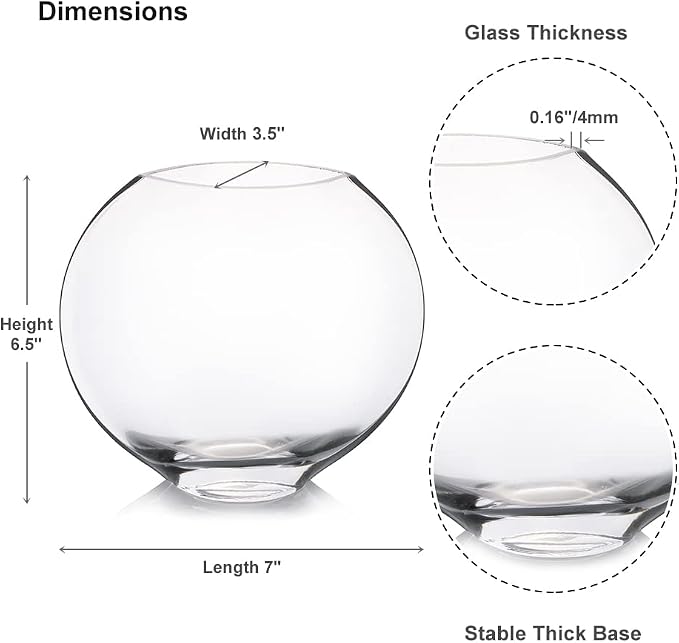 Unique Moon Bowl Glass Flowers Vases, H 6.50" W 3.5" L7.0 Clear Floral Container with Oval Eye Shape Opening for Desktop Decor (1 Piece)
