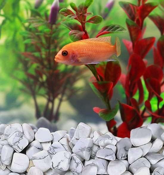 1lb Howlite Crystal Aquarium Gravel Polished Tumbled Stones Irregular Shaped Crystal Chips Bulk Natural Gemstone Rocks Vase Filler Fish Tank Gravel Home Decoration (450 Gram)