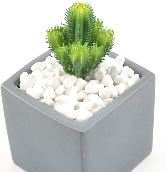 WAYBER White Decorative Gravel Stones for Aquarium & Bonsai Decor, 2 Pounds | Toxin-Free, Fade-Resistant, Ideal for Reiki Healing, DIY Crafts, Vase Filler, Aquarium & Bonsai Decoration