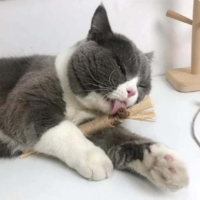 Natural Silvervine Dental Sticks, Silvervine Sticks for Cats, Natural Silvervines Stick Cat Chew Toy, Promote Dental Health, Engage & Entertain (3PCS)