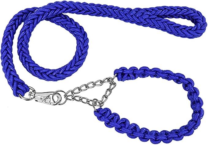 Love Dream Dog Collar and Leash Set, Heavy Duty Nylon Braided Rope Strong 4 FT Dog Leash and Martingale Training Collar for Small Medium Large Dogs Training and Walking (Blue)