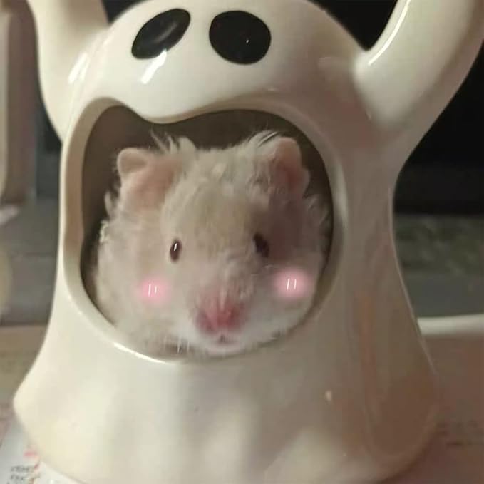 Specter Ceramic Guinea Pig Bed Cool Cave Beds Hamster House Hideout for Chinchilla Rabbit Dwarf Bunny Ferret Bunny Hedgehog Rats Summer Cage Nest