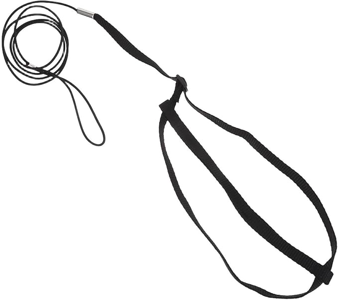 Parrot Flying Harness: Training Leash Rope - Breathable Chest Vest - Adjustable Line Kit for Cockatoo Recall Practice Balcony Walks Yard Outings