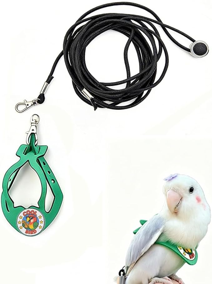 Adjustable Bird Harness & Leash Set for Small Birds,FitsBudgie,Parakeets, Conures, Cockatiels,Green Cheek,Quaker Parrots(Green, XS) Z6350-6