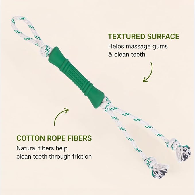 Green Sheep Tug & Enrichment Dog Toy, Interactive Rope Bone Toy with Removable Cotton Rope, Treat Dispensing Natural Rubber Dental Chew Toy for Medium and Large Dogs, Green