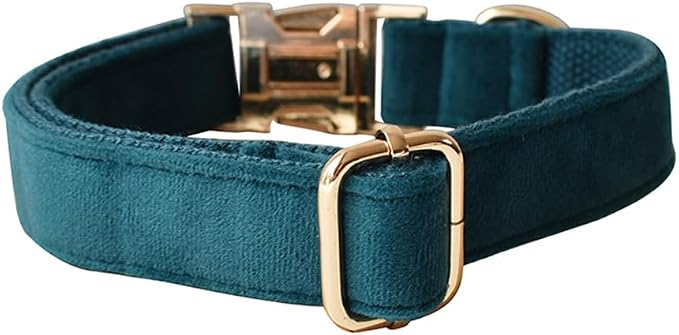 Love Dream Velvet Dog Collar and Leash Set, Soft & Comfy Adjustable Dog Leash and Collar with Heavy Duty Metal Buckle for Small Medium Large Dogs Training & Walking (Small, Peacock Green)