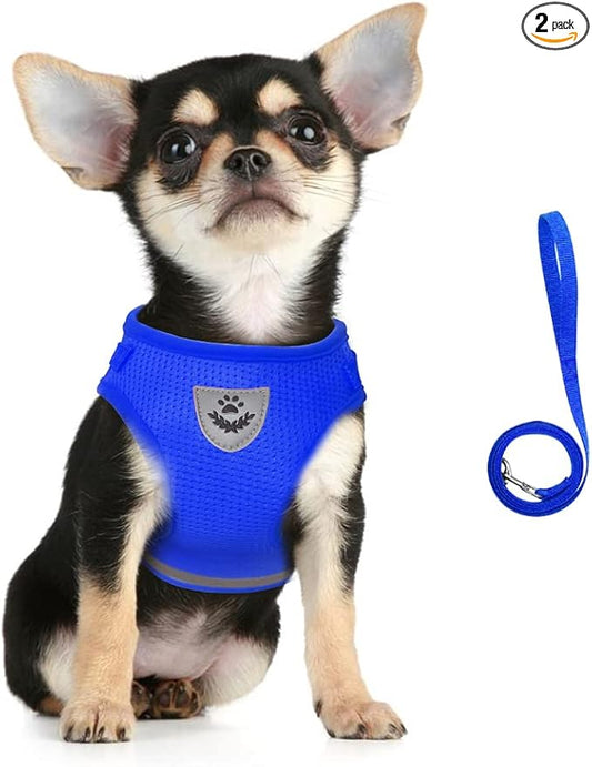 FEimaX Dog Harness and Leash Set for Walking, Soft Mesh Adjustable Easy Control Lightweight Cat Vest Harnesses with Reflective Strips, Escape Proof Small Dogs Cats Vests (Blue, X-Small)