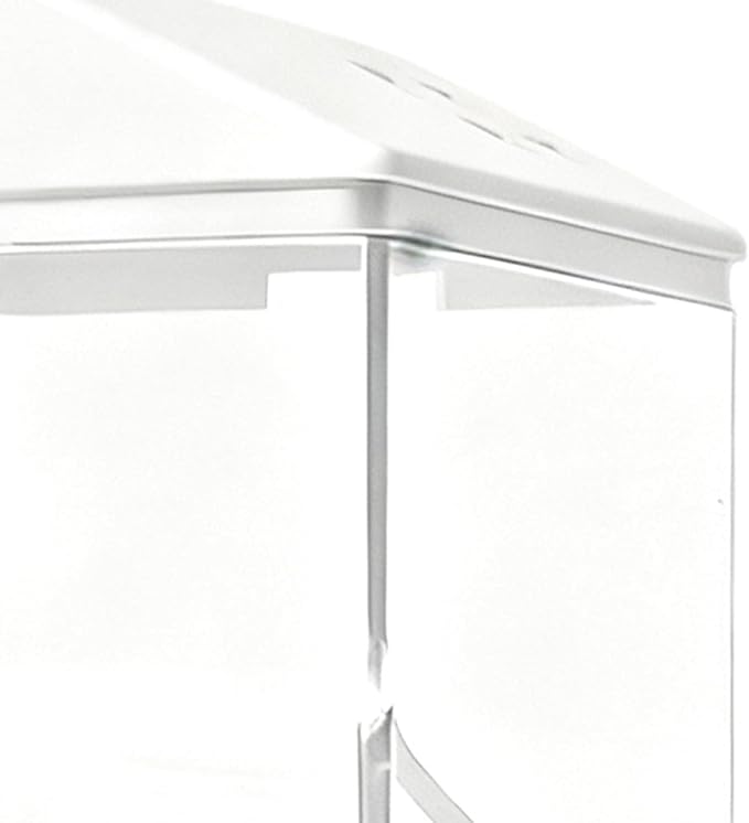 Wild Bird Feeder - Spill Proof Removable Container, Outdoor Seed Holder, Hanging Garden Feeder, Durable Multi-Purpose Feeding Station, Easy Refill Transparent Design | Bird Feeding Station for Family