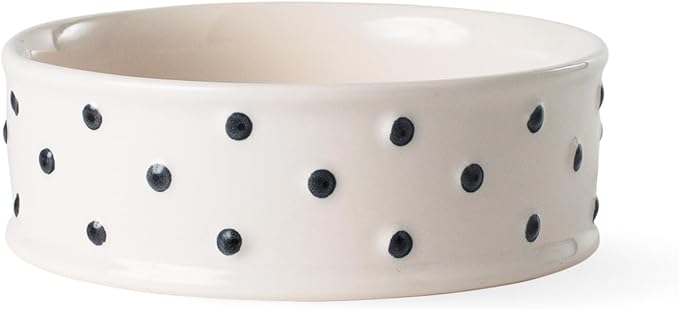 Fringe Studio Memento DOT Small Stoneware Pet Bowl, PetShop Collection (633101)