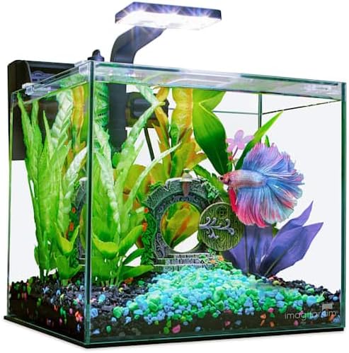 Imagitarium by Petco Glass Betta Aquarium Kit 2.5 Gallons