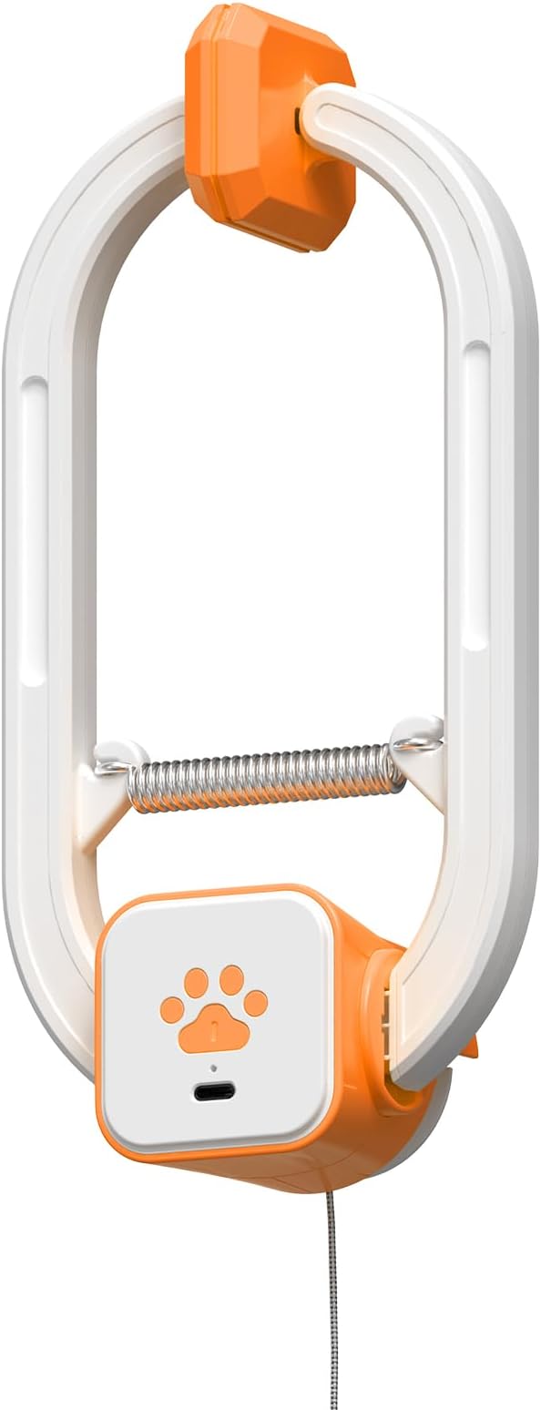 Rechargeable Electric Cat Teaser – Interactive Door Clip Teaser for Cats, 2 Motion Modes (360° Spin & Irregular Jumping), Smart Auto Cat Toy for Exercise & Fun (Orange)