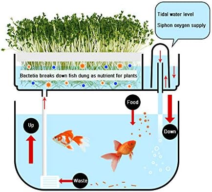 Hydroponic Garden Aquaponic Fish Tank Plants Growing System Self-Cleaning Seed Sprouter Tray