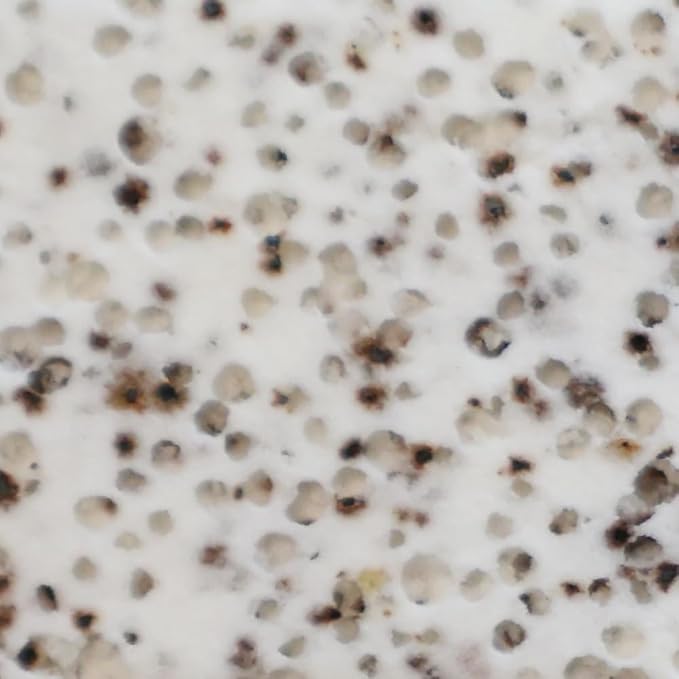 20 Pieces of Quartz Ceramic Bacteria House for Fish Tank and Pond to Feed Nitrifying Bacteria for Better Water Quality
