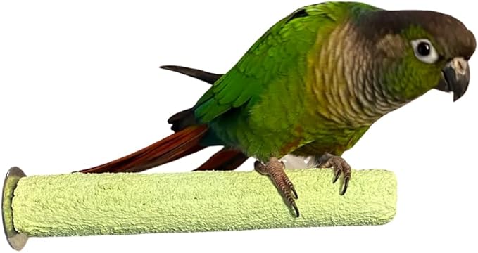 Polly's Pastels Nail Trimming & Beak Conditioning Safety Perch for Cockatiels, Cockatoos, Macaws, Parakeets, Budgies, Parrots and All Other Birds (Green, Small-1" Dia. x 6" Long)