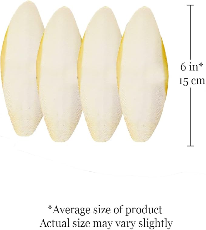 SunGrow 4 Pack Large 6-inch Cuttlefish Bones for Cockatiels, Turtles, Shrimp, Calcium for Beak Trimming, Cuddle Bone for Sharp Beaks, Calcium Block Stone for Egg-Laying Birds
