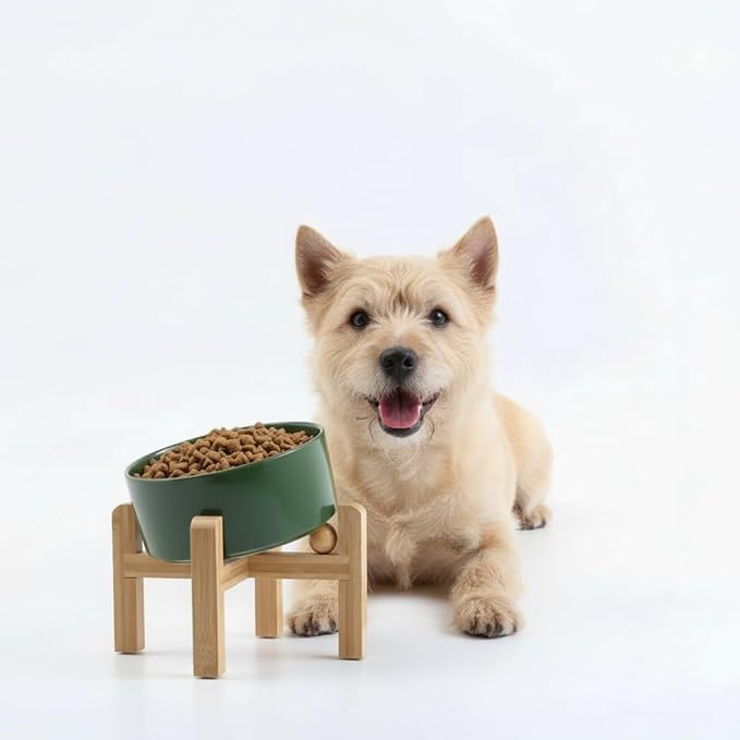Petygooing Raised/Elevated 15°Slanted Ceramic Dog Bowl for Small Breeds,Tilted Anti Slip Pet Feeding Bowl,Food Water Dish with Stand for Cats and Small Dogs Puppy 13.5 OZ (5.1In / 1.7 Cups)Rust Green