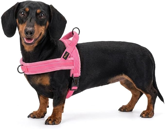 Didog Soft Flannel Padded Dog Vest Harness, No Pull/Quick Fit Reflective Dog Strap Harness, Easy for Training Walking (XS:Chest 15-18", Pink)