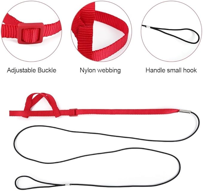 Parrot Harness Leash, Anti Bite Bird Training Leash Adjustable Parrot Flying Rope for Parrot Budgerigar Lovebird Cockatiel