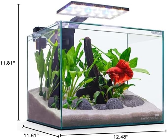 Imagitarium by Petco Glass Betta Aquarium Kit 5 Gallons