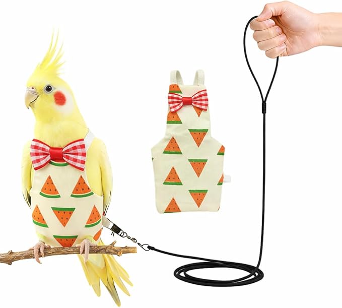 Cockatiel Sun Conure Bird Diaper and Leash Set, Small Bird Diaper and Harness, Reusable Flight Suit for Monk Parakeet/Adult Cockatiel/Mini Macaw/Caique (L)