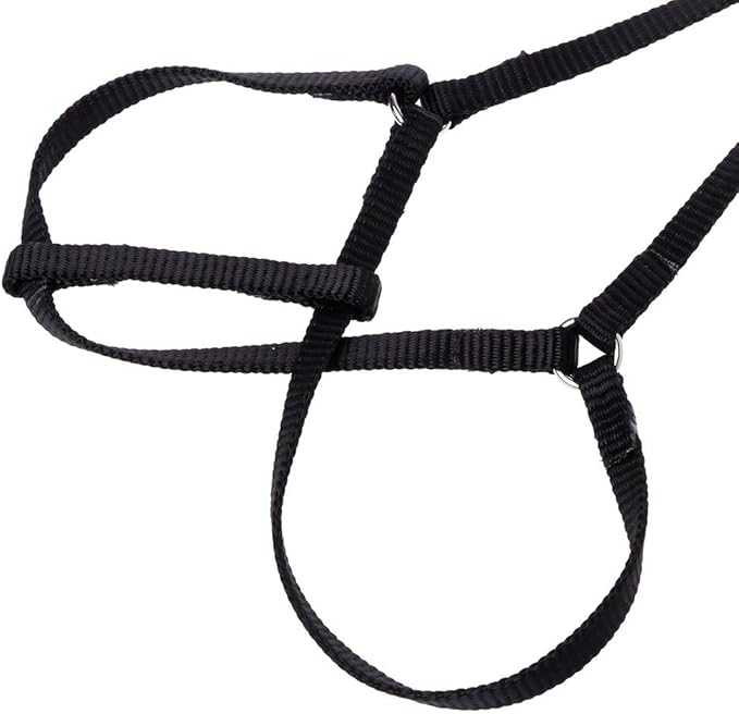 Adjustable with Elastic Leash for Bird Easy Control Harness Leash Vest Flying for Cross Band, Orange