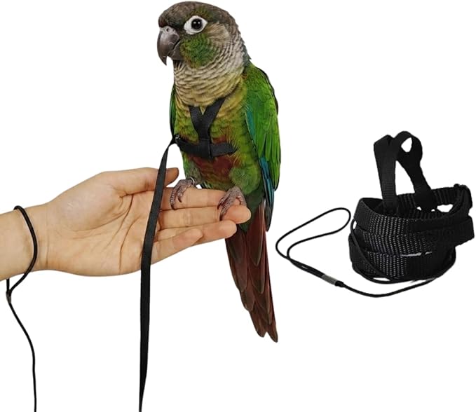 Adjustable Bird Harness and Leash for Parrots Outdoor Flight Training Anti-Bite Light Weight Easy-to-Wear Bird Vest with 59 Inch Elastic Leash for Quaker Conure African Grey Macaw Cockatoo (XXS)