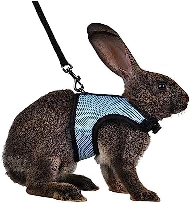 MANON ROSA Rabbit Harness and Leash Set - Adjustable Escape-Proof Training and Walking Gear for Guinea Pigs Bunnies Chinchillas Hamsters Ferrets Rats Kittens and Small Dogs Puppies Cats (Blue,L)